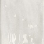 NATURE - Image 2